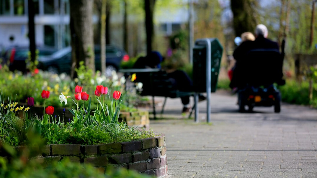 senior people chatting in garden