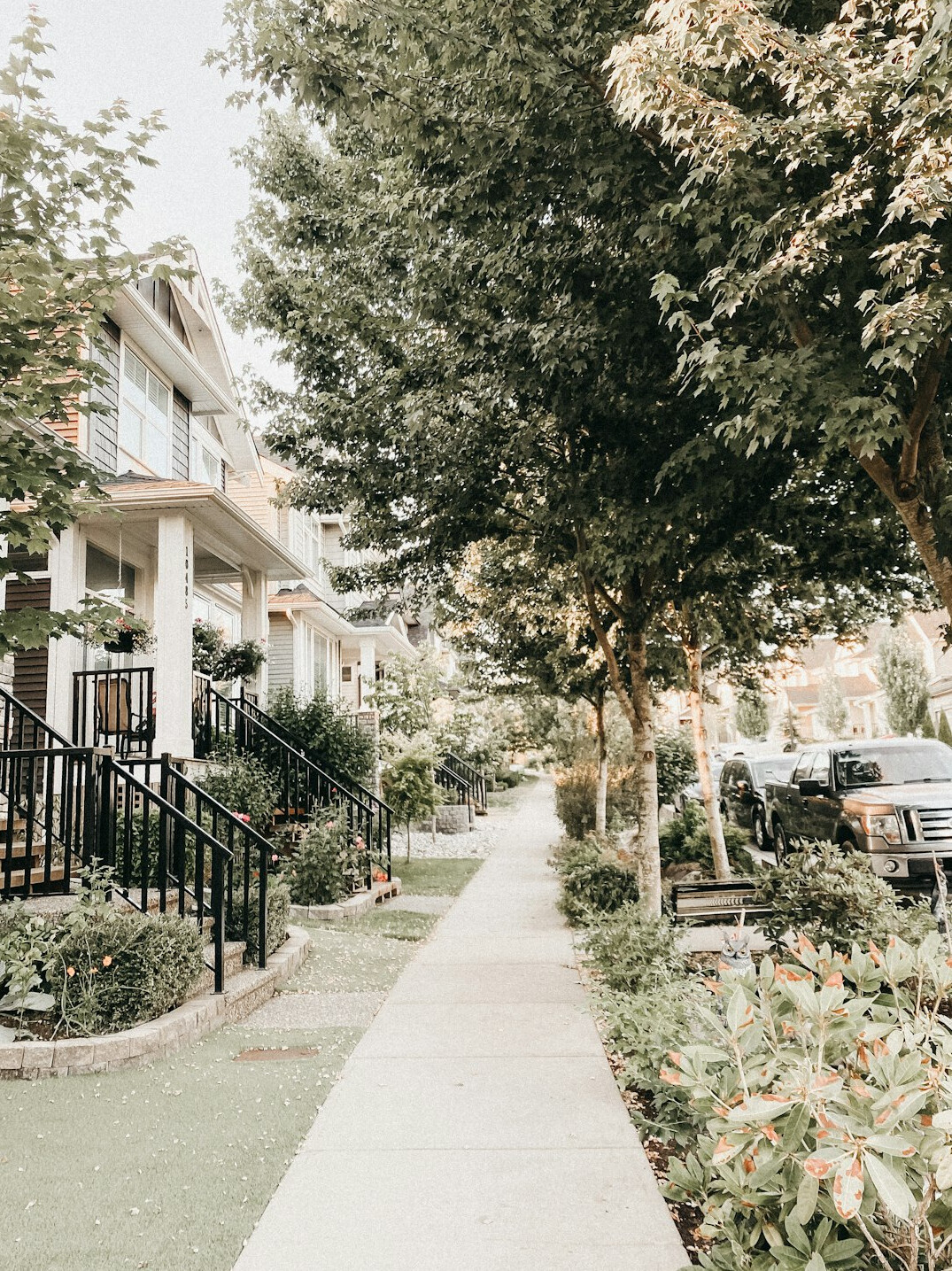 cozy senior neighborhood street