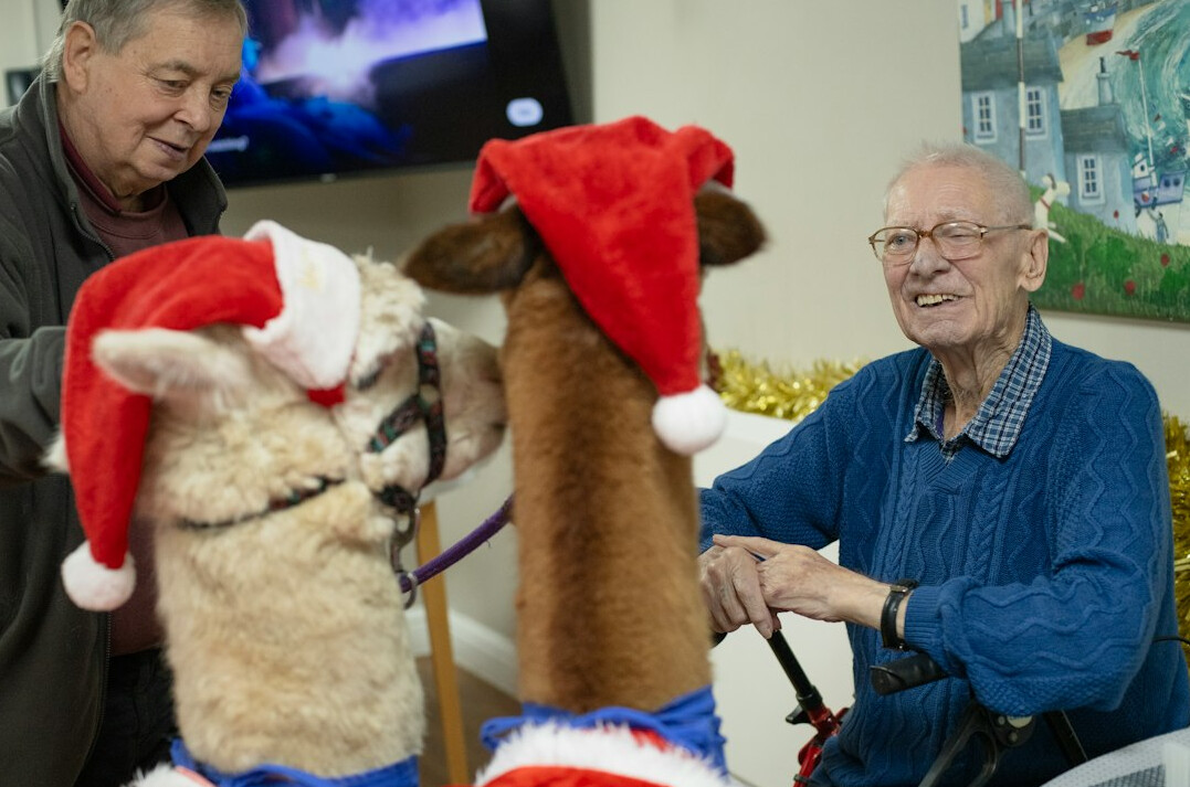 senior community event