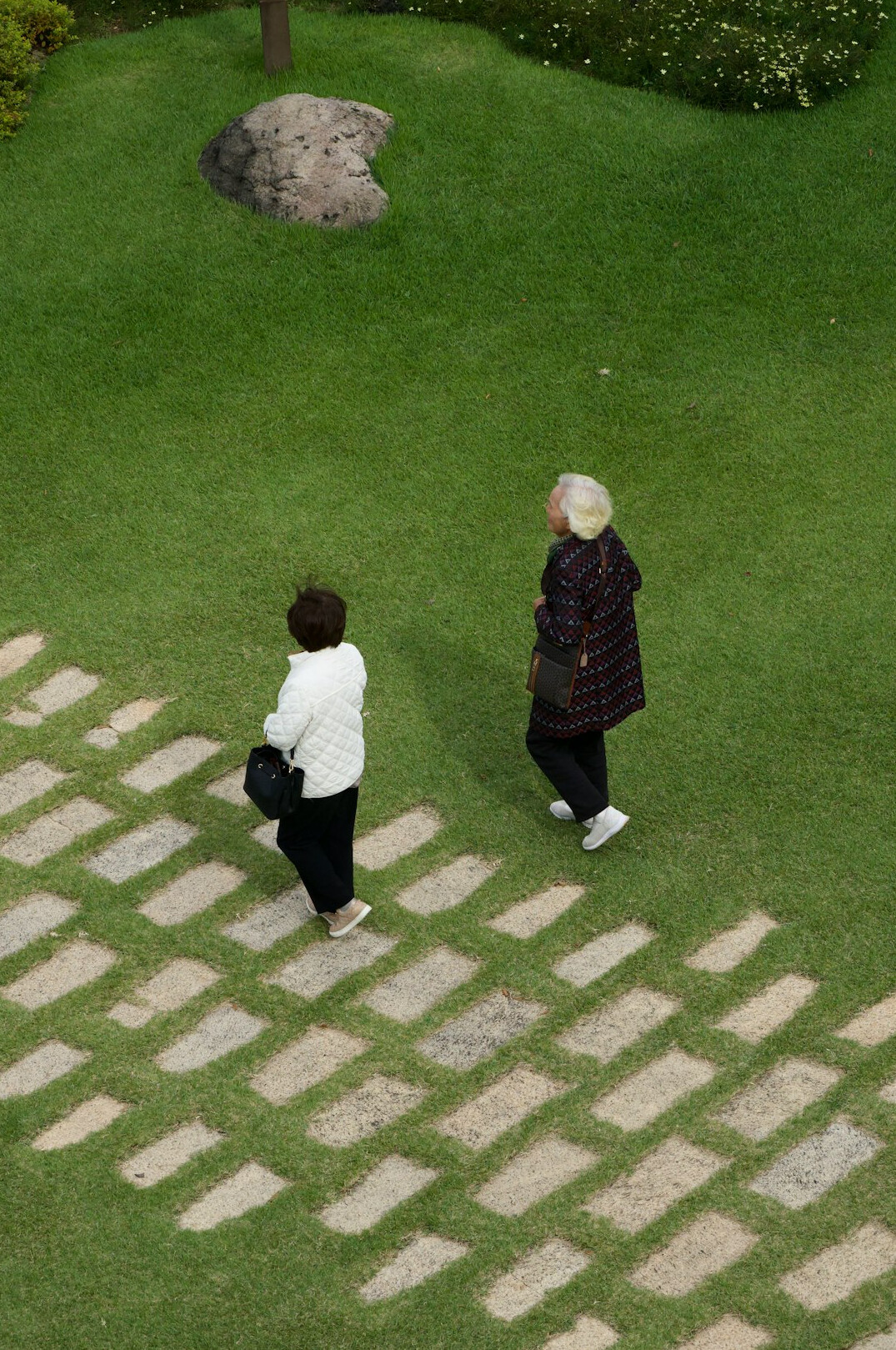 elderly friends chatting in garden