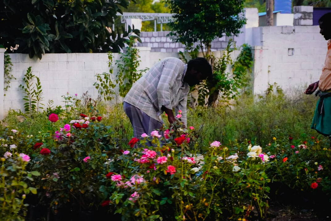 senior citizens in garden