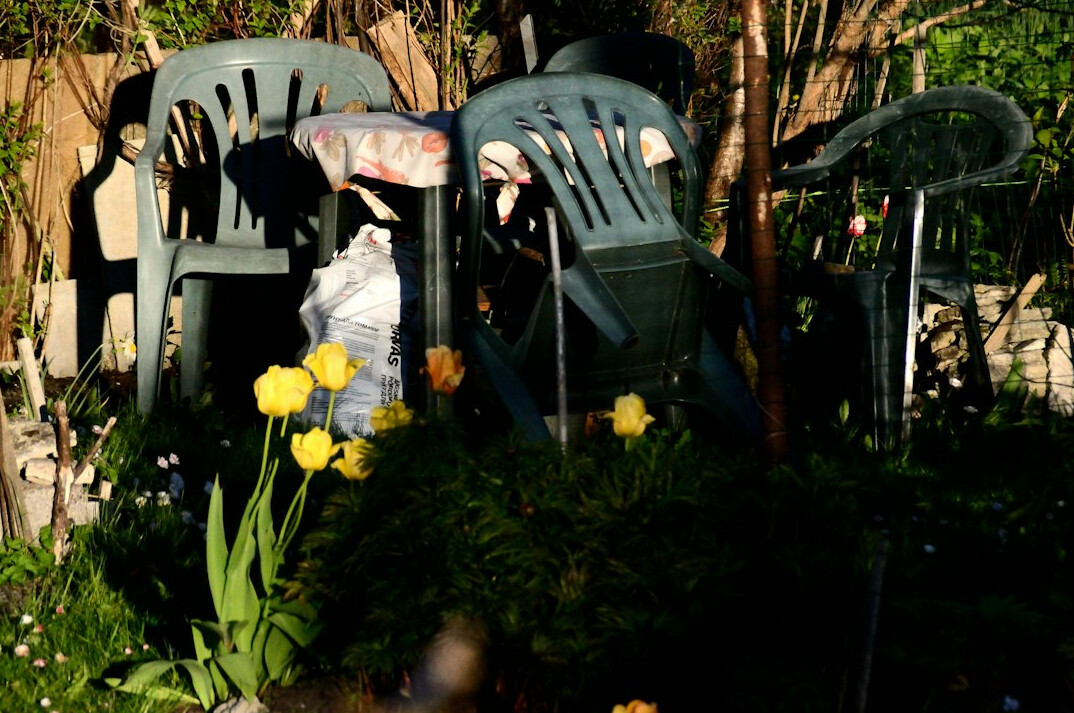 elderly friends chatting in garden